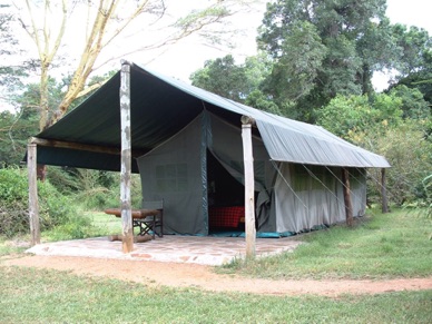 KENYA : Massai Mara
Camp Siana Springs
